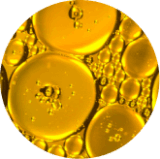 Synevra UltraLift™  ingredients